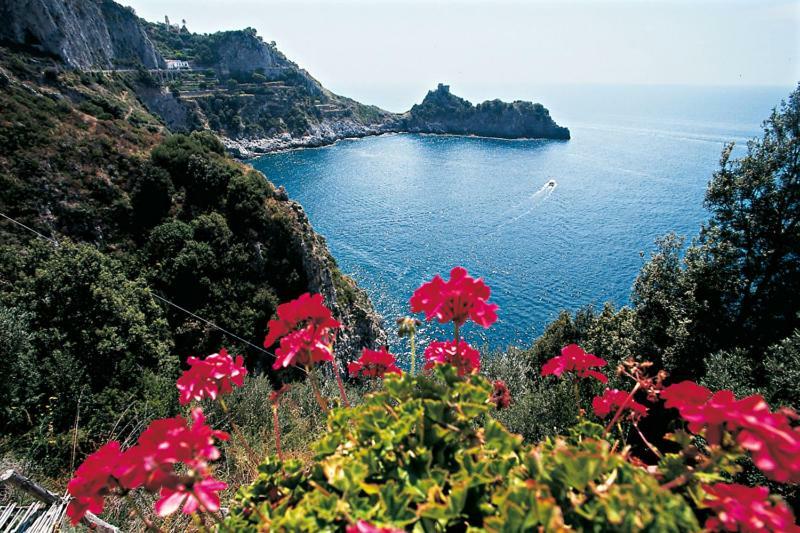 Coastal Cliff, Amalfi Lägenhet Pianillo Exteriör bild