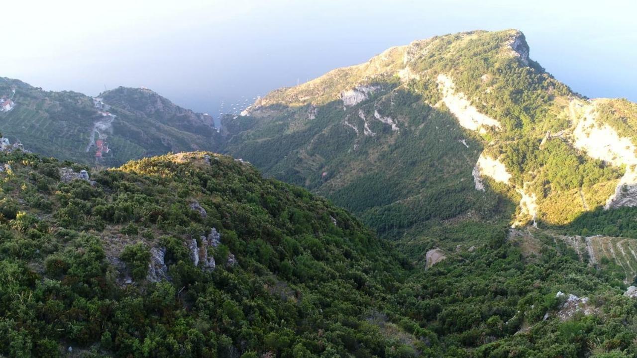 Coastal Cliff, Amalfi Lägenhet Pianillo Exteriör bild